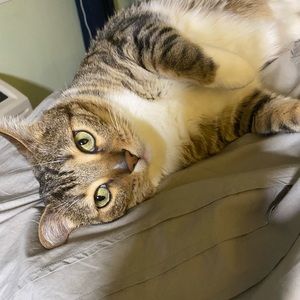 Meet your Posher, Claire